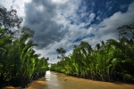 Mekong Delta